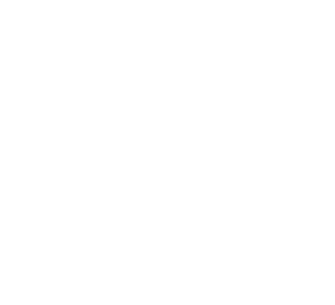 EMR logo